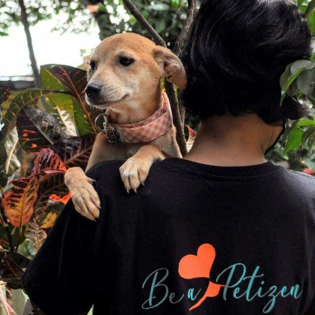 Adopt a dog from Be A Petizen