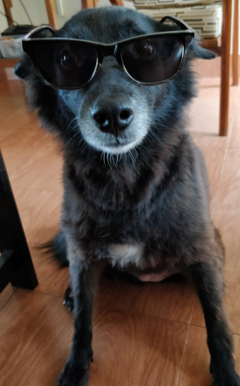 Mili enjoying her role of a Brand Ambassador