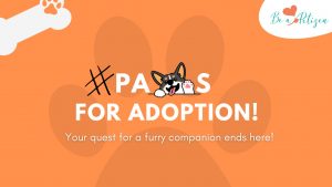 paws-for-adoption-pause-for-paws