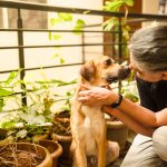 Puppy for adoption in Bangalore
