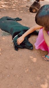 Tom, an adult dog adopted by Prathwiraj as a companion for his daughter
