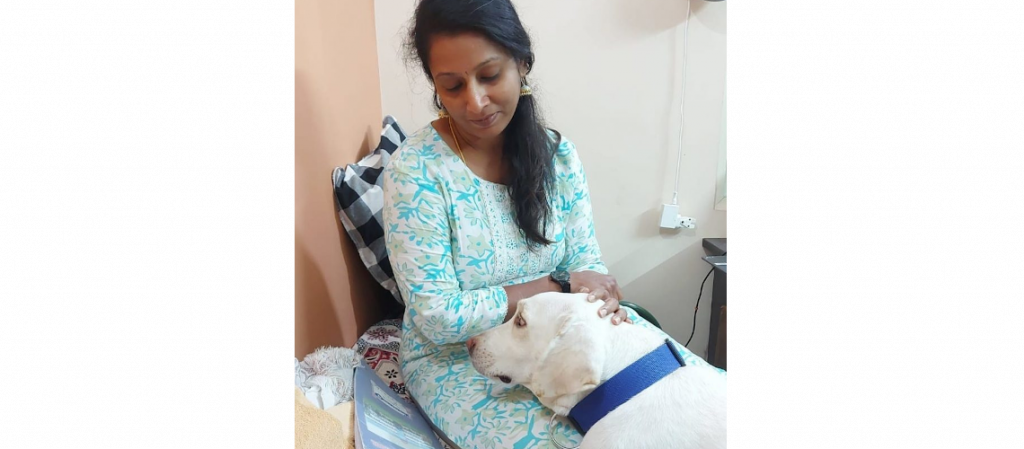 Tommy’s Heartwarming Adoption Story