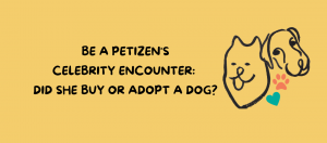 Buy a dog or adopt a dog?