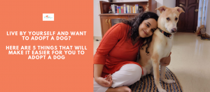 Handy blog to help bachelors who want to adopt a dog