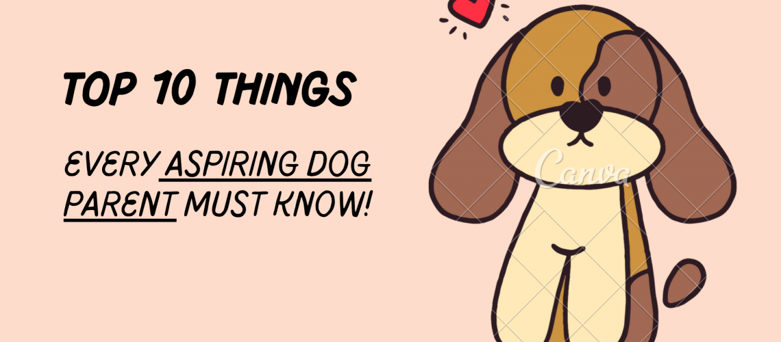 Top 10 things every aspiring dog parent must know!