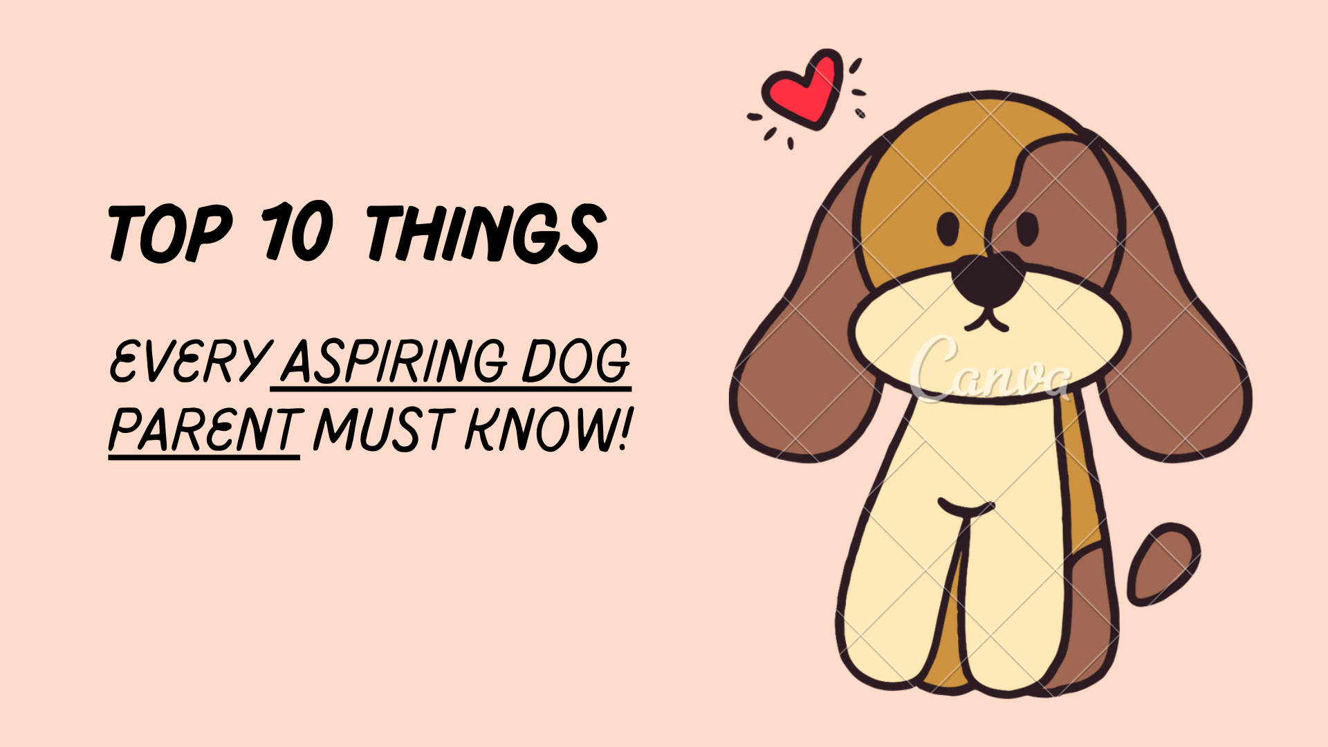 10 THINGS Top 10 things every aspiring dog parent must know!