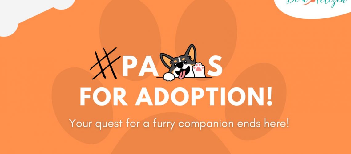 paws-for-adoption-pause-for-paws