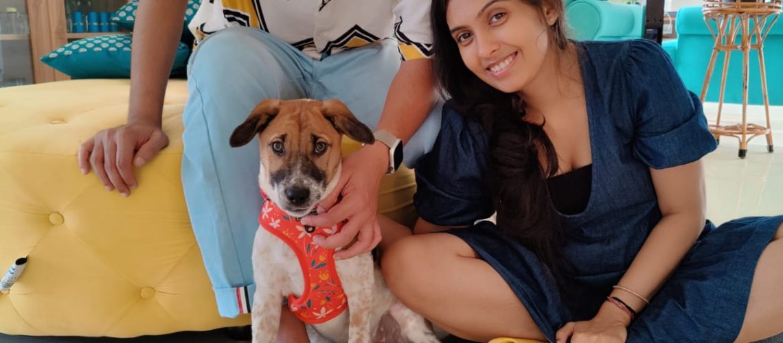 Molly, the Indie dog's successful adoption story