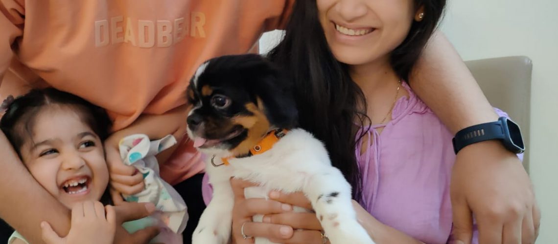 Sahil and Shruti successfully adopted a puppy for their daughter