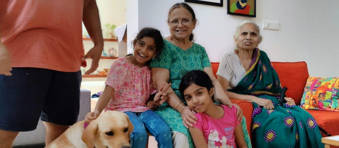 Succcessful adoption of a rescued female Labrador in Bangalore